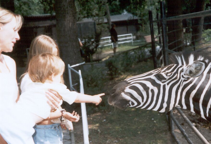 In the ZOO - 82.429 bytes