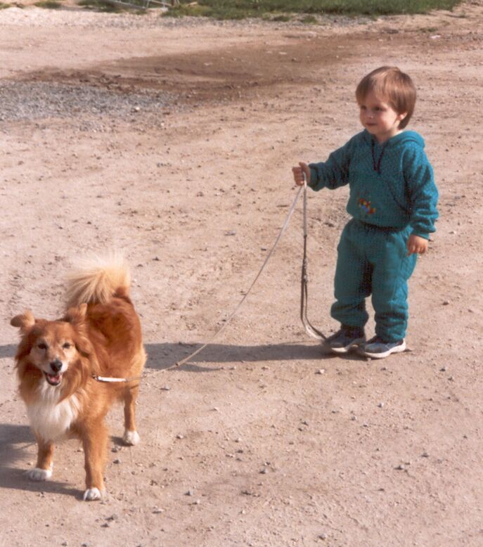 Leash the dog - 97.735 bytes