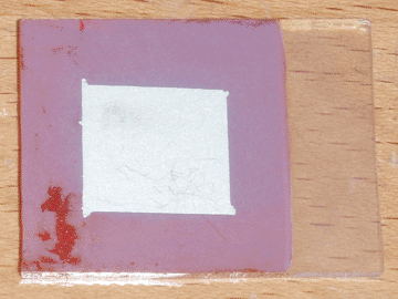 Solar cell back