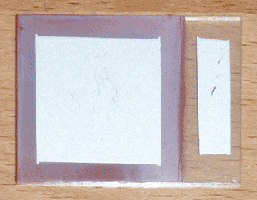 Solar cell back